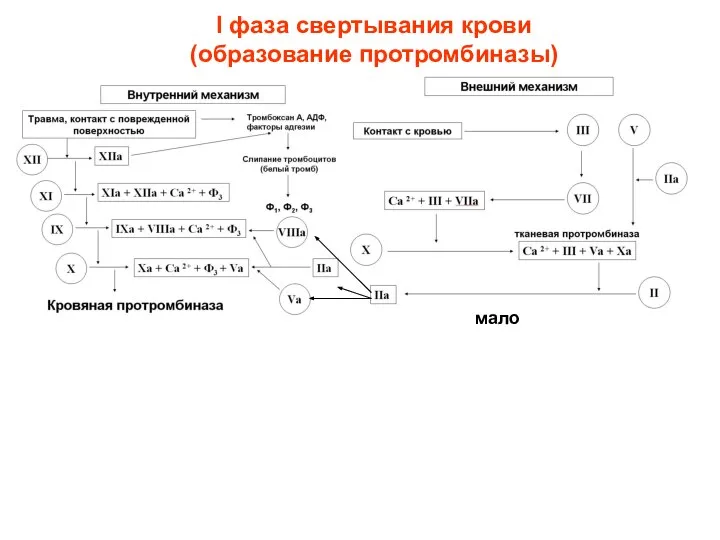 мало I фаза свертывания крови (образование протромбиназы)