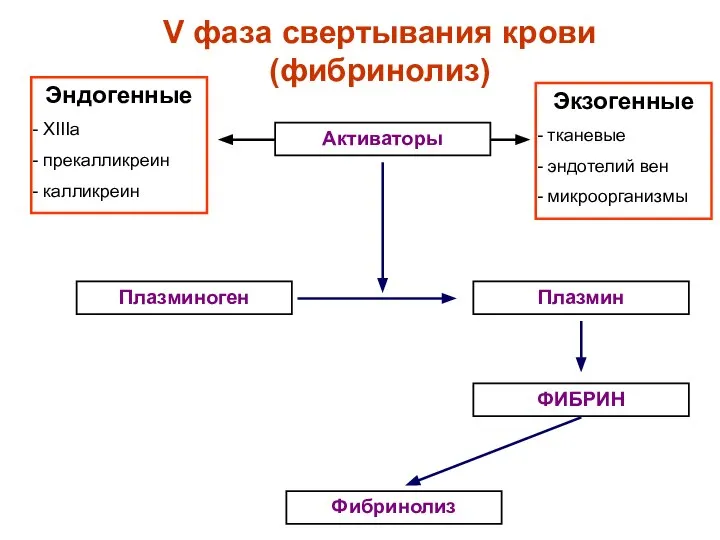 V фаза свертывания крови (фибринолиз) Активаторы Плазминоген Плазмин ФИБРИН Фибринолиз Экзогенные