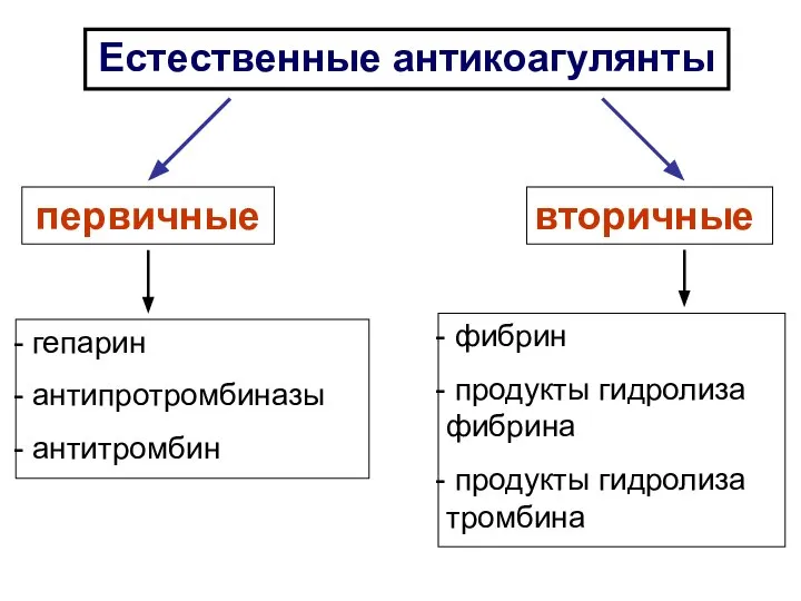 Естественные антикоагулянты первичные вторичные гепарин антипротромбиназы антитромбин фибрин продукты гидролиза фибрина продукты гидролиза тромбина