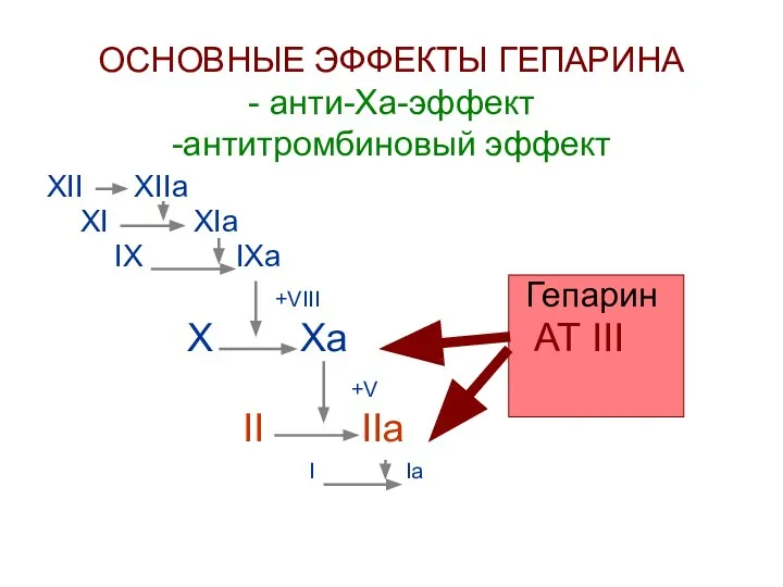 ОСНОВНЫЕ ЭФФЕКТЫ ГЕПАРИНА - анти-Ха-эффект -антитромбиновый эффект XII XIIa XI XIa