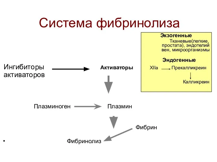 Система фибринолиза Экзогенные Тканевые(легкие, простата), эндотелий вен, микроорганизмы Эндогенные Ингибиторы Активаторы