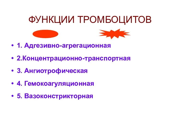 ФУНКЦИИ ТРОМБОЦИТОВ 1. Адгезивно-агрегационная 2.Концентрационно-транспортная 3. Ангиотрофическая 4. Гемокоагуляционная 5. Вазоконстрикторная