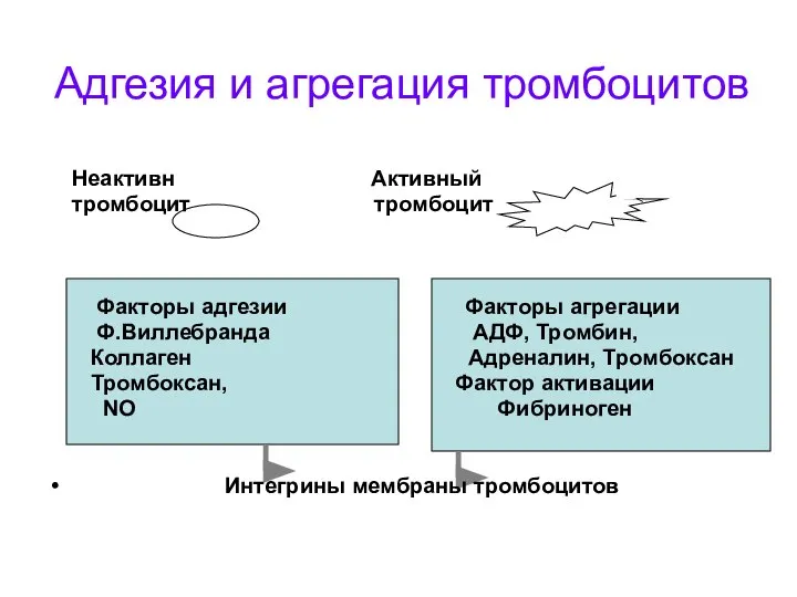 Адгезия и агрегация тромбоцитов Неактивн Активный тромбоцит тромбоцит Факторы адгезии Факторы