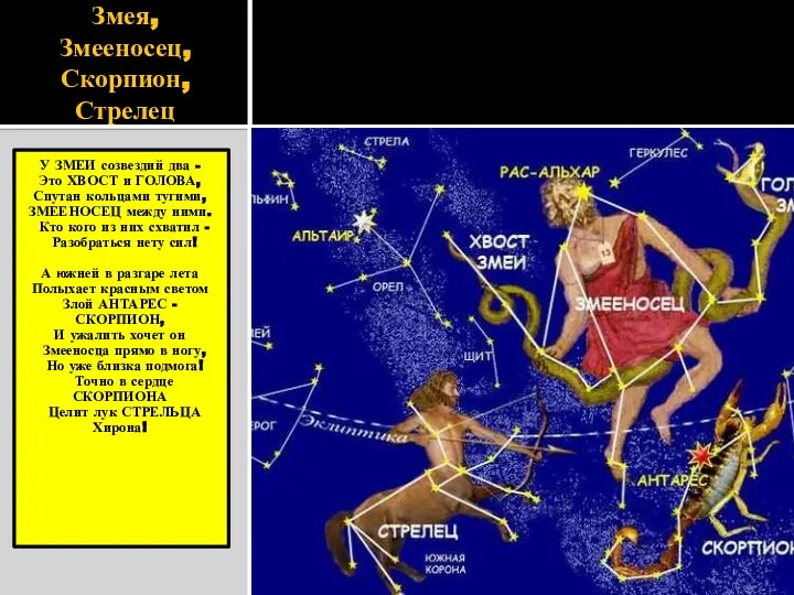 Змея, Змееносец, Скорпион, Стрелец У ЗМЕИ созвездий два - Это ХВОСТ