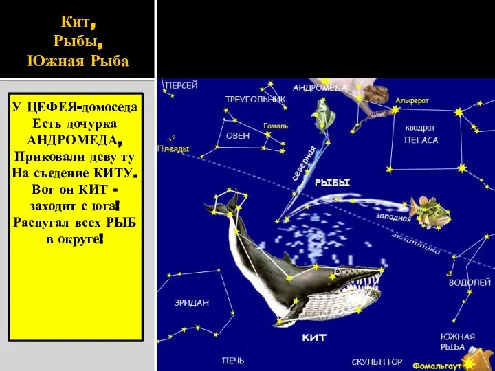 Кит, Рыбы, Южная Рыба У ЦЕФЕЯ-домоседа Есть дочурка АНДРОМЕДА, Приковали деву
