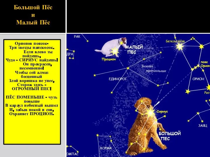 Большой Пёс и Малый Пёс Орионов поясок- Три звезды наискосок. Если