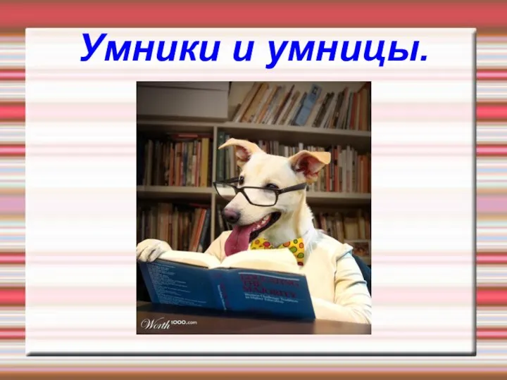 Умники и умницы.