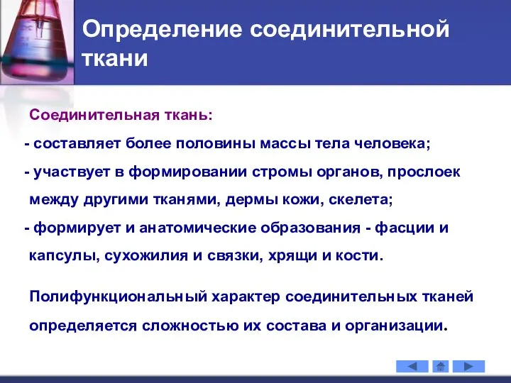 Определение соединительной ткани Соединительная ткань: составляет более половины массы тела человека;