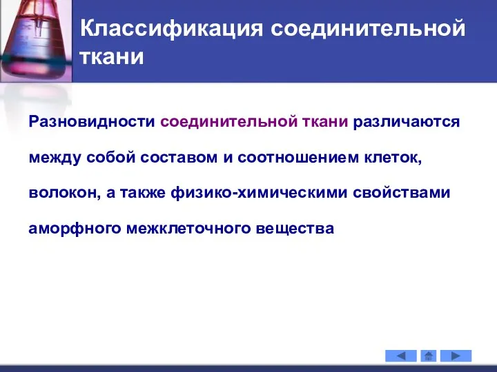 Классификация соединительной ткани Разновидности соединительной ткани различаются между собой составом и