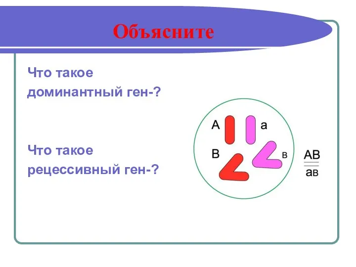 Объясните Что такое доминантный ген-? Что такое рецессивный ген-?