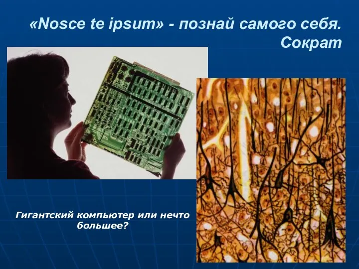 «Nosce te ipsum» - познай самого себя. Сократ Гигантский компьютер или нечто большее?