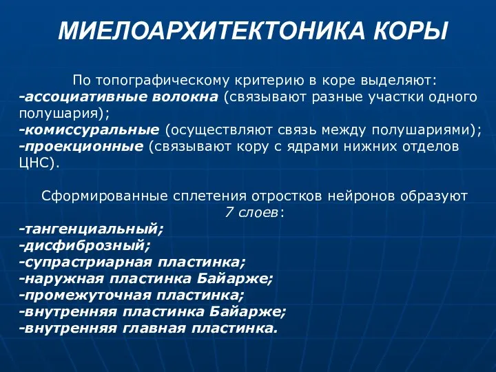 МИЕЛОАРХИТЕКТОНИКА КОРЫ По топографическому критерию в коре выделяют: -ассоциативные волокна (связывают