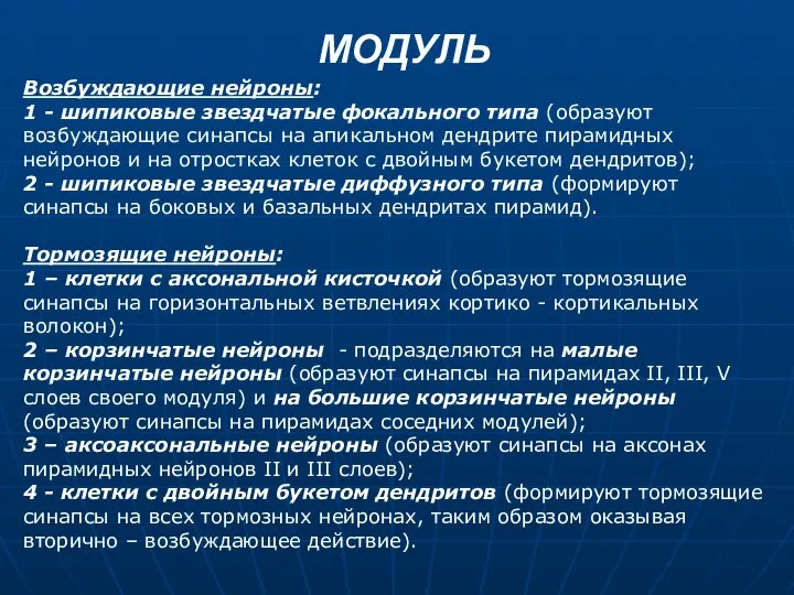 МОДУЛЬ Возбуждающие нейроны: 1 - шипиковые звездчатые фокального типа (образуют возбуждающие