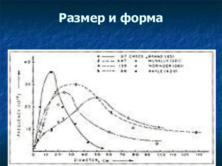 Размер и форма