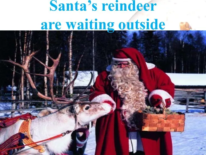 Santa’s reindeer are waiting outside