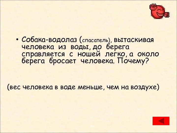 Собака-водолаз (спасатель), вытаскивая человека из воды, до берега справляется с ношей