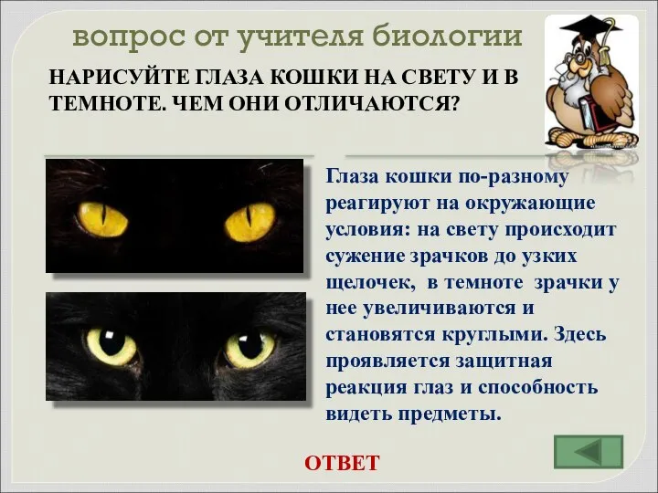 вопрос от учителя биологии НАРИСУЙТЕ ГЛАЗА КОШКИ НА СВЕТУ И В