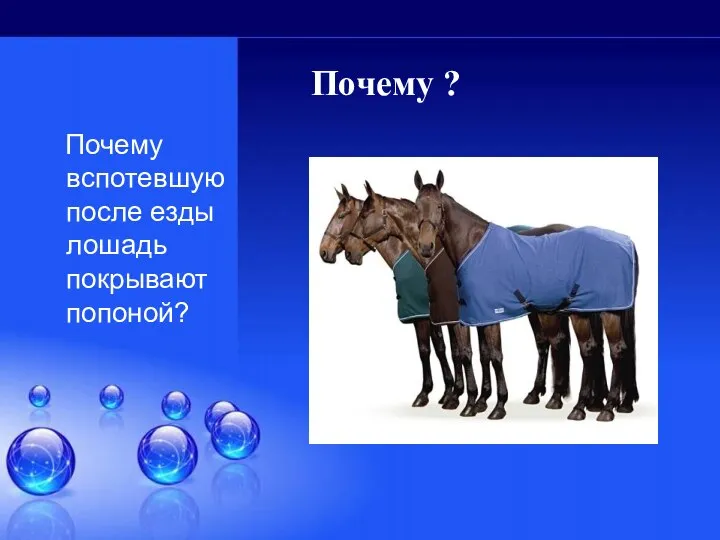 Почему ? Почему вспотевшую после езды лошадь покрывают попоной?