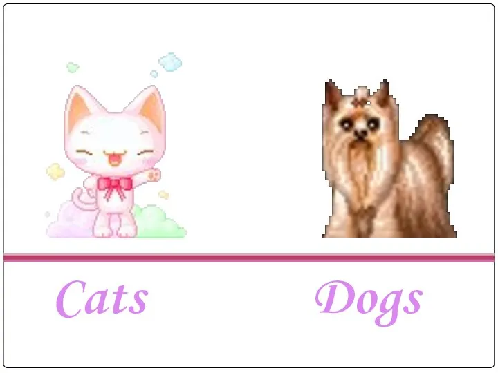 Cats Dogs