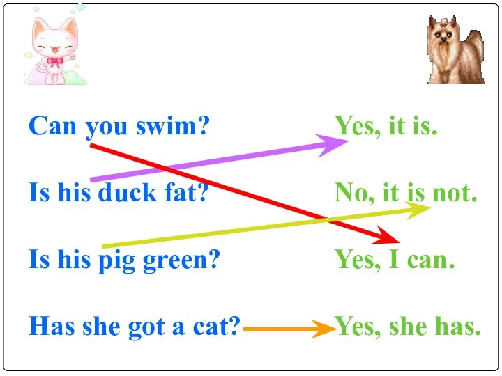Can you swim? Is his duck fat? Is his pig green?