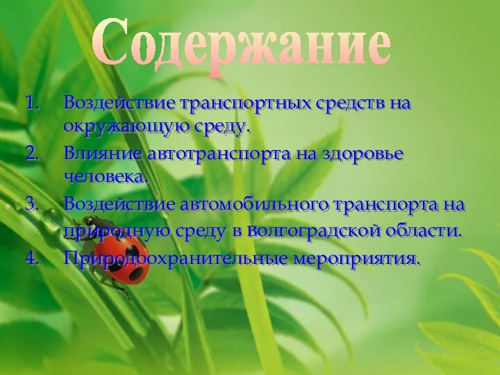 Воздействие транспортных средств на окружающую среду. Влияние автотранспорта на здоровье человека.