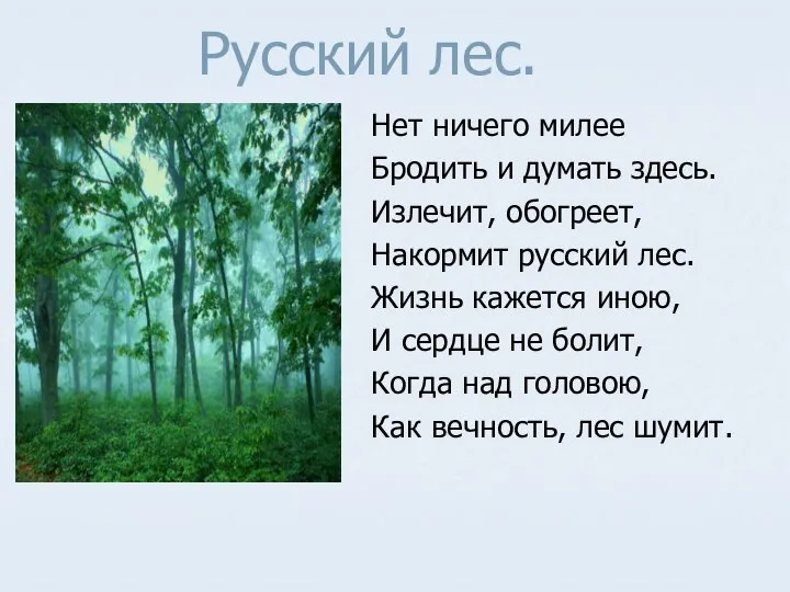 Русский лес. Нет ничего милее Бродить и думать здесь. Излечит, обогреет,