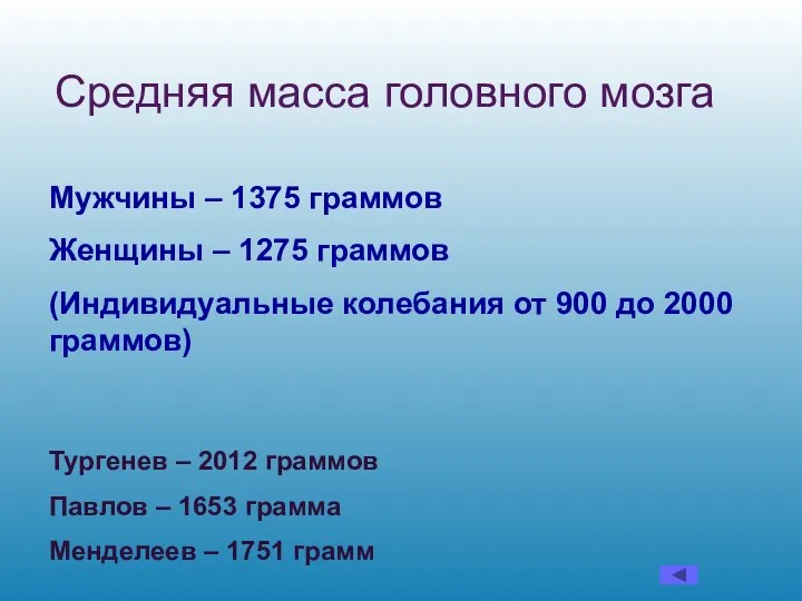 Мужчины – 1375 граммов Женщины – 1275 граммов (Индивидуальные колебания от