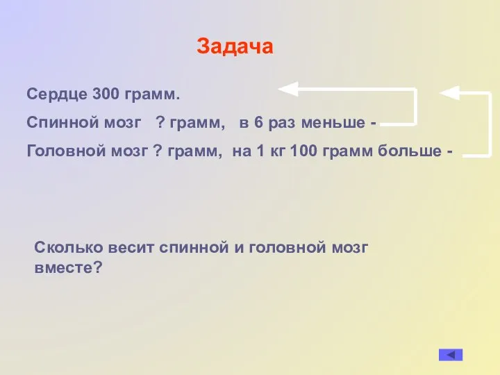 Сердце 300 грамм. Спинной мозг ? грамм, в 6 раз меньше