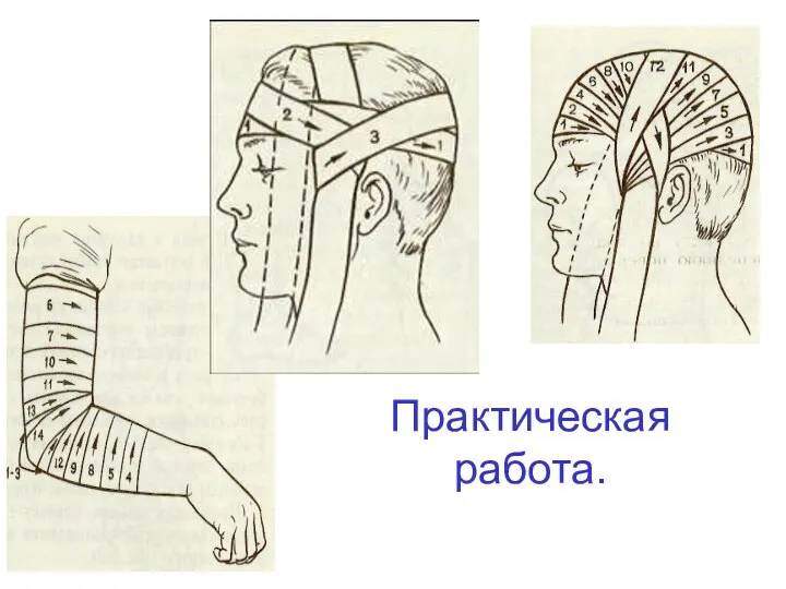 Практическая работа.