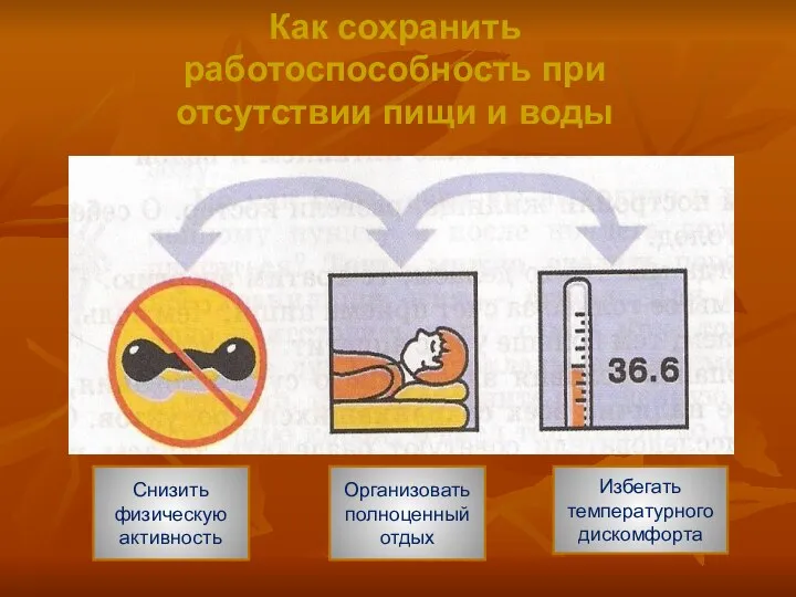 Как сохранить работоспособность при отсутствии пищи и воды Снизить физическую активность