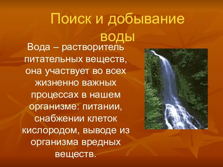 Поиск и добывание воды Вода – растворитель питательных веществ, она участвует