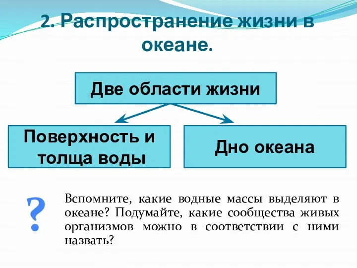 2. Распространение жизни в океане. Две области жизни Поверхность и толща