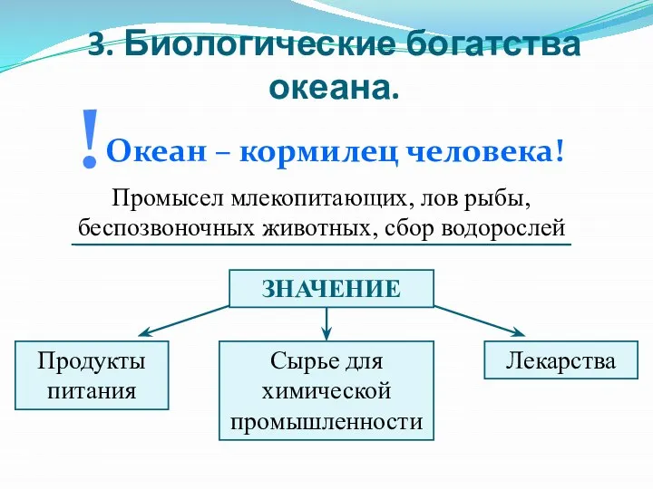 3. Биологические богатства океана. Океан – кормилец человека! ! Промысел млекопитающих,