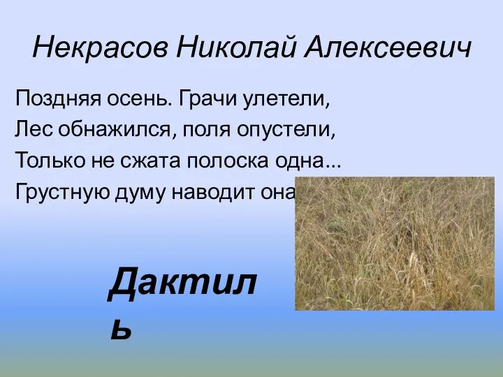 Некрасов Николай Алексеевич Поздняя осень. Грачи улетели, Лес обнажился, поля опустели,