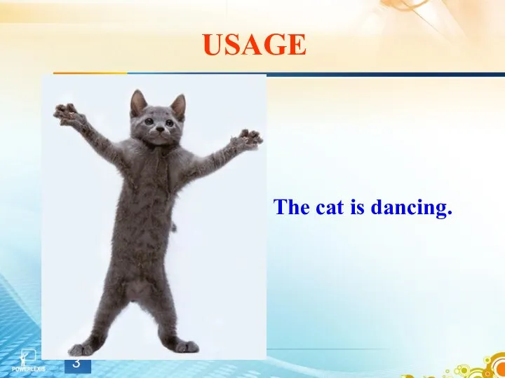 USAGE The cat is dancing.