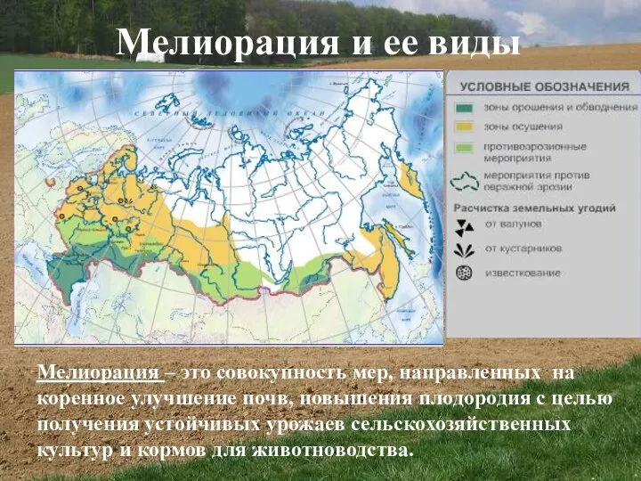 Мелиорация и ее виды Мелиорация – это совокупность мер, направленных на