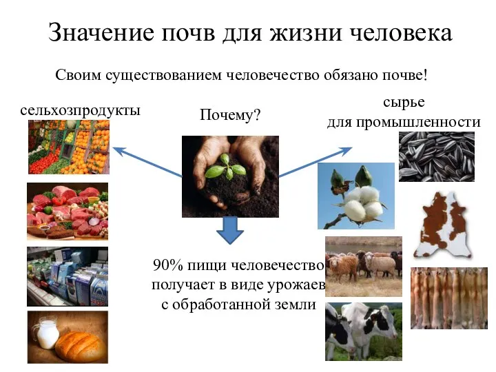 Значение почв для жизни человека Своим существованием человечество обязано почве! Почему?