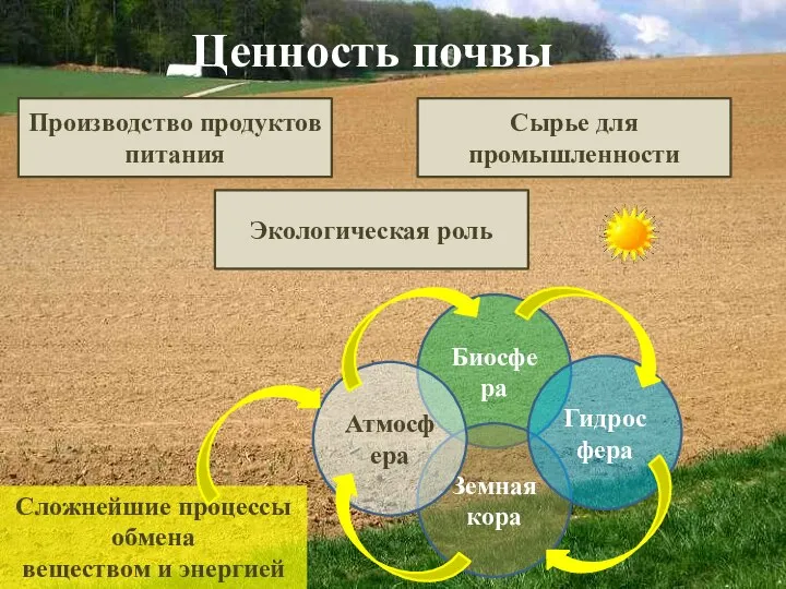 Ценность почвы Производство продуктов питания Сырье для промышленности Экологическая роль Биосфера