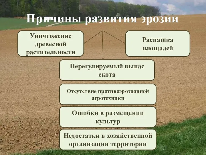 Причины развития эрозии Уничтожение древесной растительности Распашка площадей Нерегулируемый выпас скота