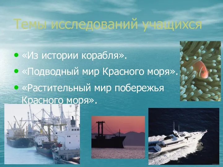 Темы исследований учащихся «Из истории корабля». «Подводный мир Красного моря». «Растительный мир побережья Красного моря».