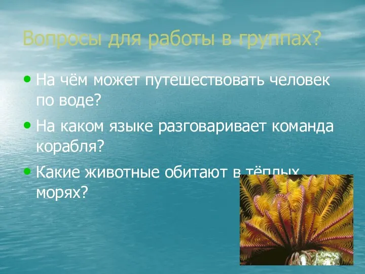 Вопросы для работы в группах? На чём может путешествовать человек по