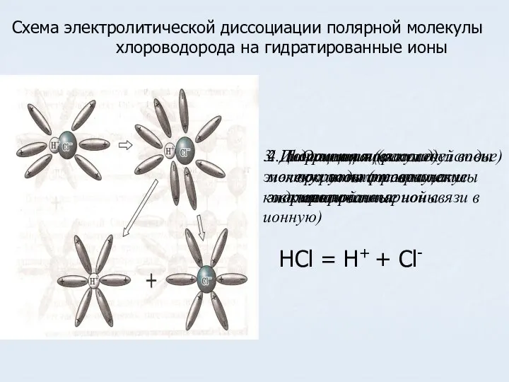 1.Ориентация молекул воды вокруг полюсов молекулы электролита. Схема электролитической диссоциации полярной