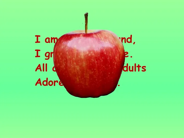 I am red and round, I grow on the tree. All