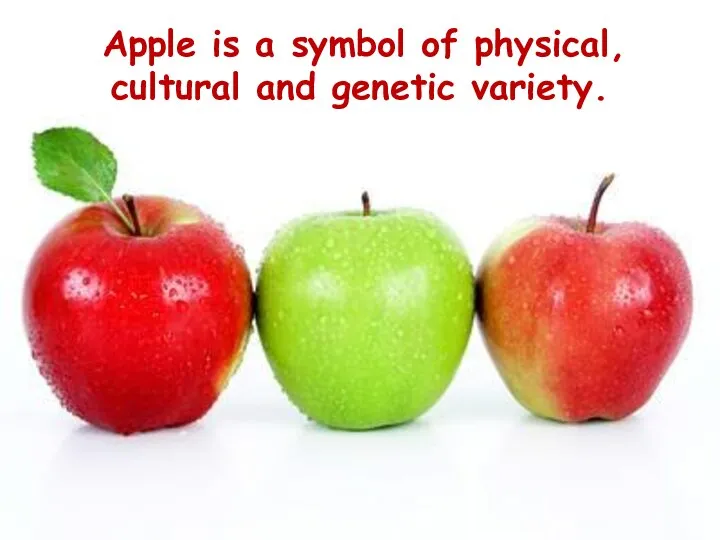 Apple is a symbol of physical, cultural and genetic variety.