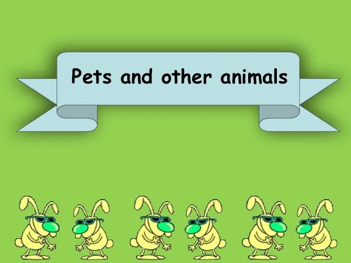 Pets and other animals