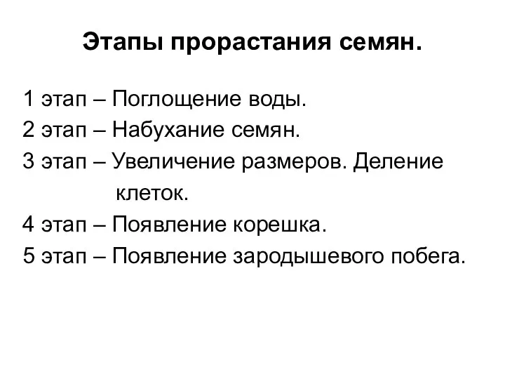 Этапы прорастания семян. 1 этап – Поглощение воды. 2 этап –