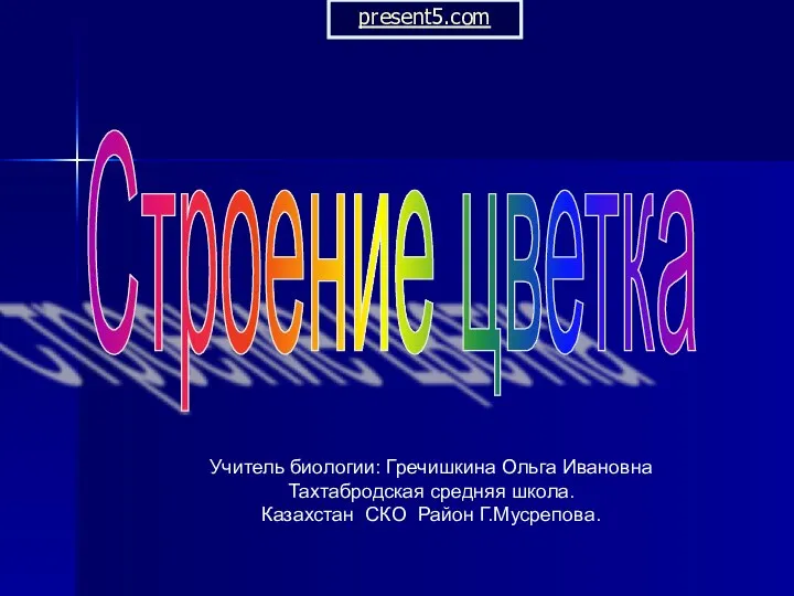 Презентация на тему "Строения цветка" - скачать бесплатно презентации по Биологии