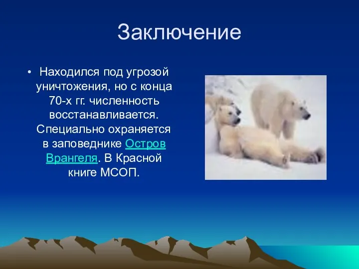 Заключение Находился под угрозой уничтожения, но с конца 70-х гг. численность