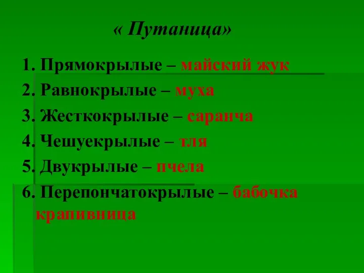 « Путаница» 1. Прямокрылые – майский жук 2. Равнокрылые – муха