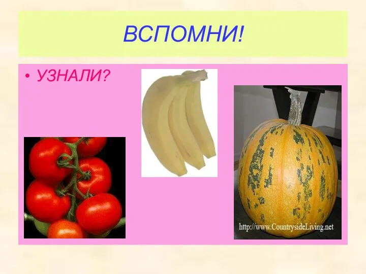 ВСПОМНИ! УЗНАЛИ?